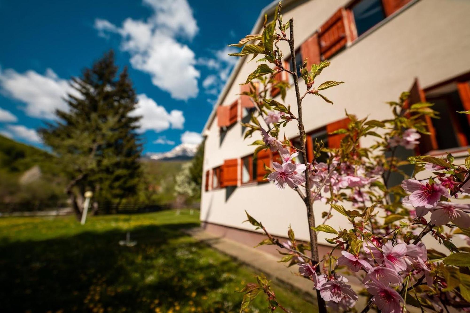 Hostel Mojan Andrijevica Exterior photo